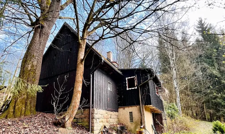 Prodej chalupy, Rychnov u Jablonce nad Nisou, 160 m2