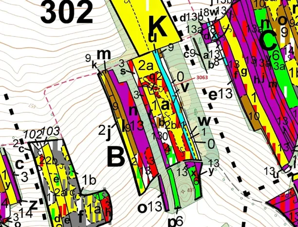 Dražba lesa, Koloveč, 703 m2