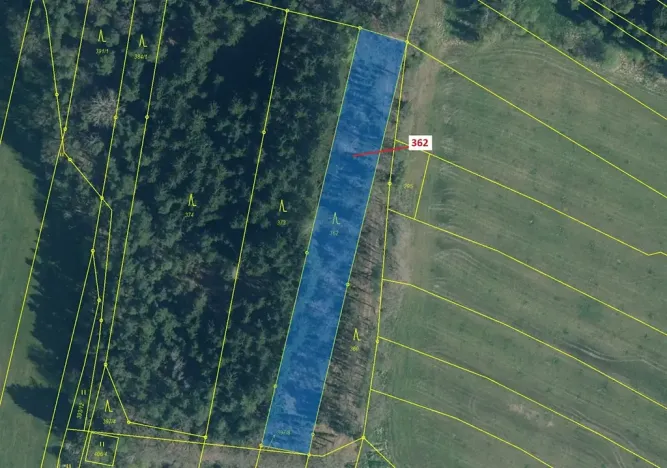 Dražba lesa, Trhové Sviny, 2498 m2