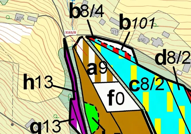 Dražba lesa, Třinec, 1981 m2