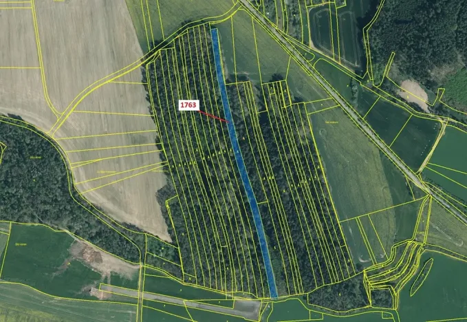 Dražba lesa, Koloveč, 7329 m2