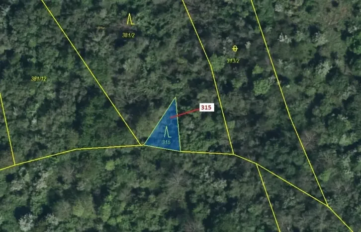 Dražba lesa, Podhořany u Ronova, 129 m2