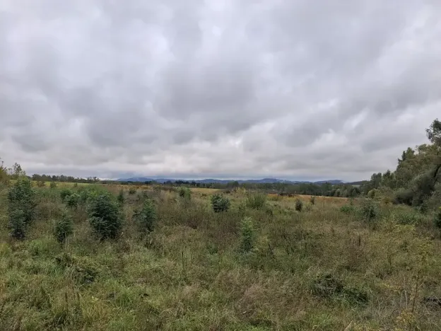 Prodej pozemku, Chodov, Nejdecká, 3546 m2