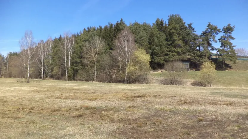 Prodej pozemku, Kaplice, 3302 m2