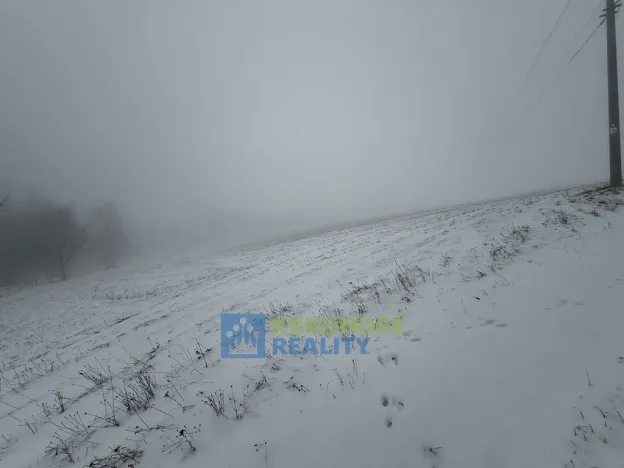 Prodej pozemku, Jestřabí v Krkonoších, 3000 m2
