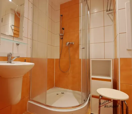 Prodej bytu 2+1, Brandýs nad Labem-Stará Boleslav, Vrbová, 55 m2