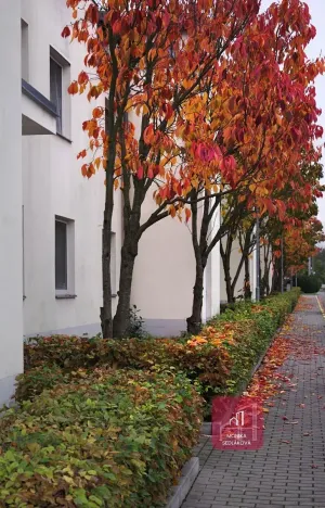 Pronájem bytu 2+kk, Rousínov, Zahradní, 57 m2