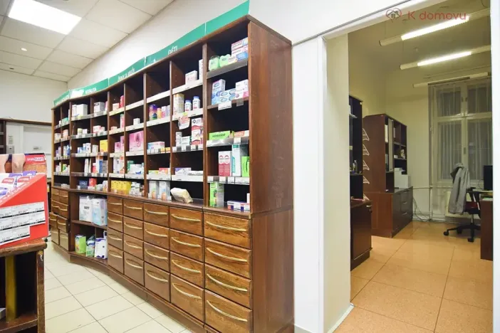 Pronájem obchodního prostoru, Brno, Pekařská, 140 m2