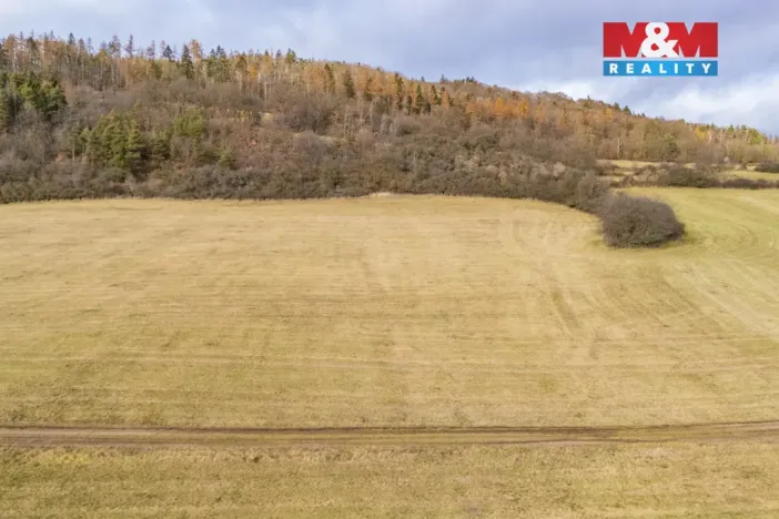 Prodej louky, Kublov, 13853 m2