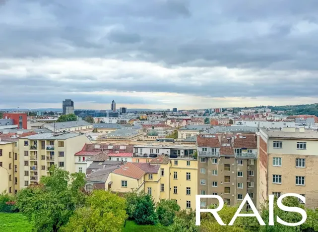 Prodej bytu 1+kk, Brno, Pellicova, 114 m2