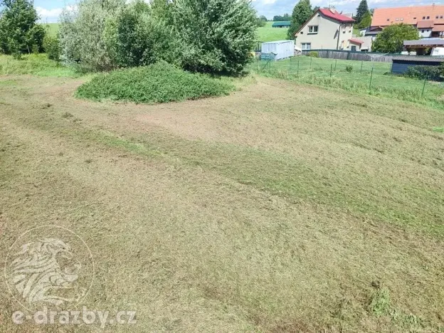 Dražba pozemku pro bydlení, Bruzovice, 11054 m2