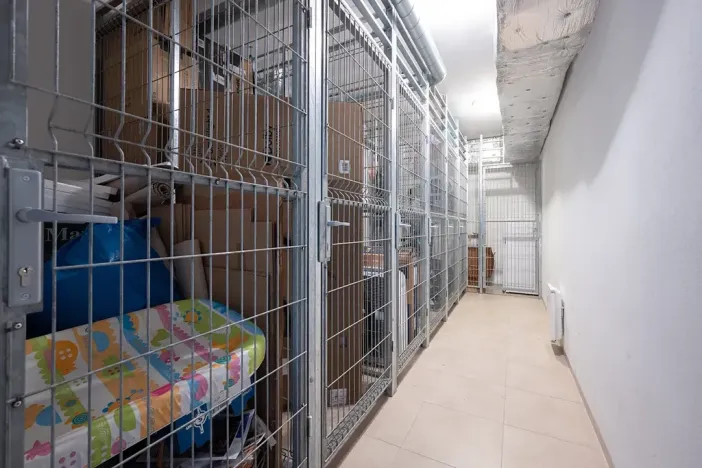 Prodej bytu 1+kk, Brno, Kigginsova, 52 m2