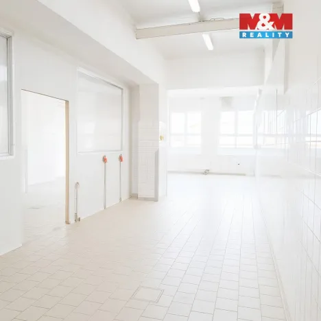 Pronájem skladu, Nymburk, Jičínská, 249 m2