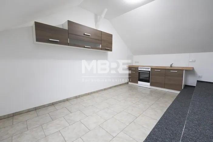 Pronájem bytu 2+kk, Opava - Předměstí, Mlýnská, 52 m2