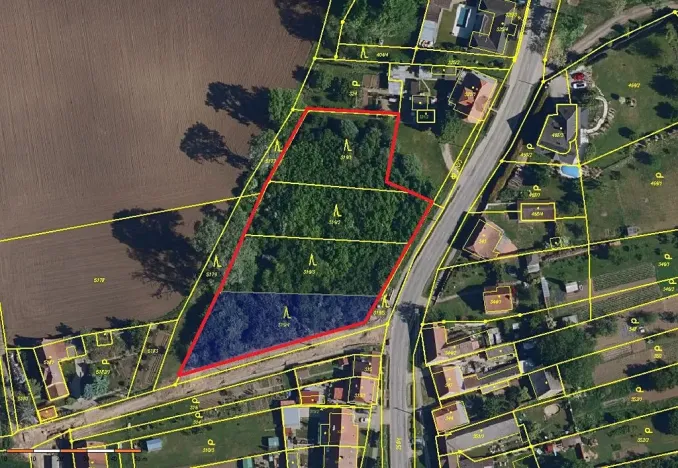 Prodej lesa, Cvrčovice, 4746 m2