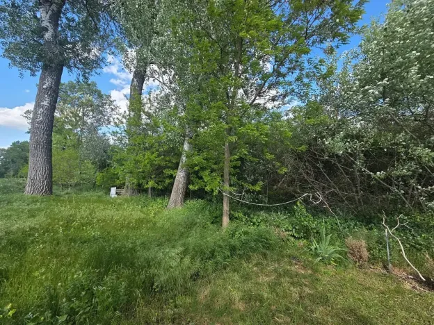 Prodej lesa, Cvrčovice, 4746 m2