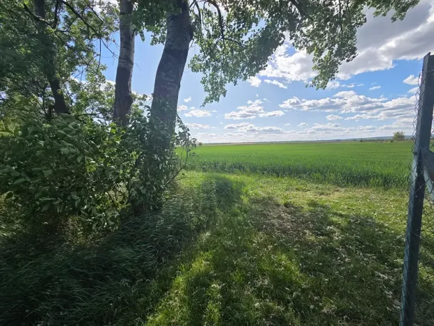 Prodej lesa, Cvrčovice, 4746 m2