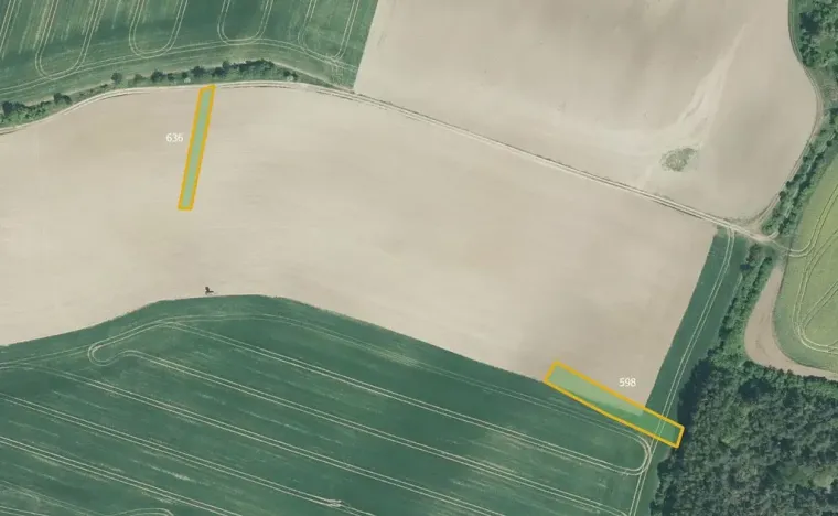 Prodej pole, Honětice, 9179 m2