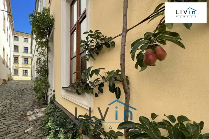 Pronájem bytu 1+1, Olomouc, Kapucínská, 23 m2