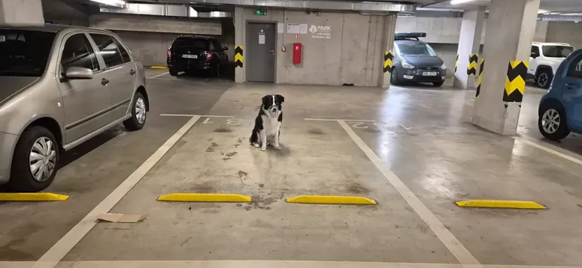 Pronájem garážového stání, Brno, Mojmírovo náměstí, 15 m2