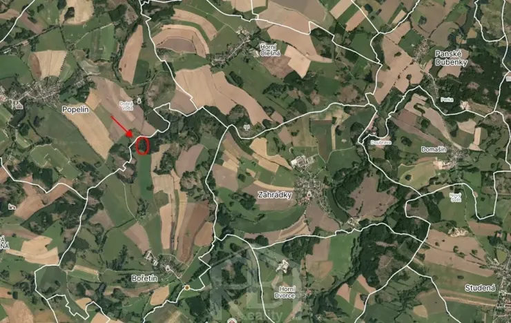 Prodej lesa, Bořetín, 31787 m2