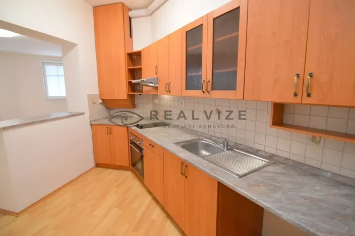 Pronájem bytu 1+kk, České Budějovice, K. V. Raise, 52 m2