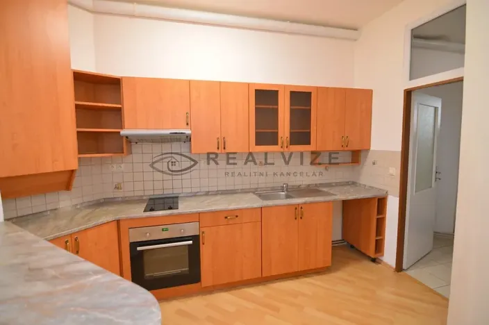 Pronájem bytu 1+kk, České Budějovice, K. V. Raise, 52 m2