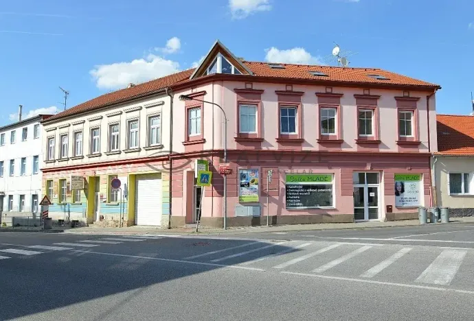 Pronájem bytu 1+kk, České Budějovice, K. V. Raise, 52 m2