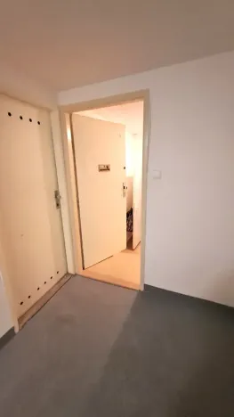 Pronájem bytu 1+kk, Praha - Braník, Pod vinohradem, 27 m2