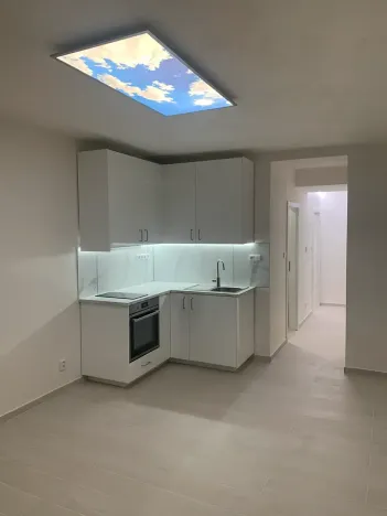 Pronájem bytu 1+kk, Praha - Vinohrady, Nad olšinami, 27 m2