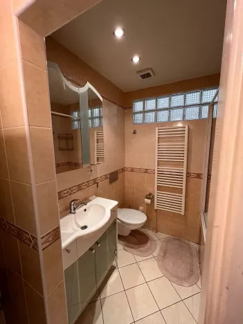 Pronájem bytu 1+1, Praha, 44 m2