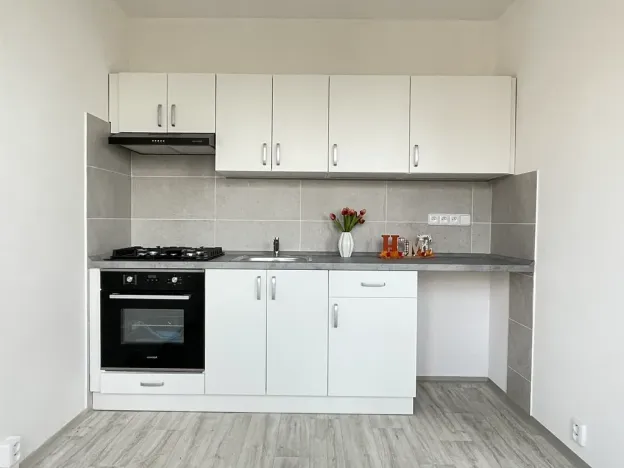 Pronájem bytu 3+1, Litvínov, Valdštejnská, 66 m2