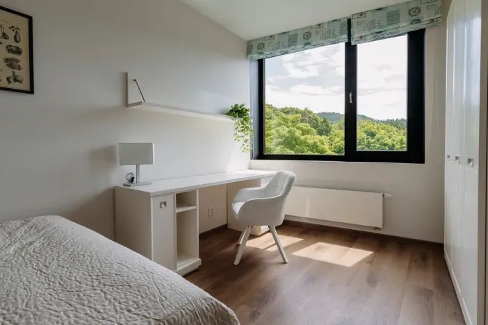 Prodej bytu 4+kk, Karlovy Vary, Pražská silnice, 155 m2