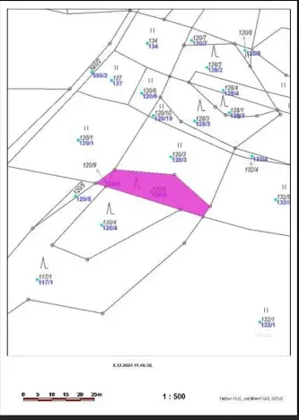 Prodej lesa, Nemile, 323 m2