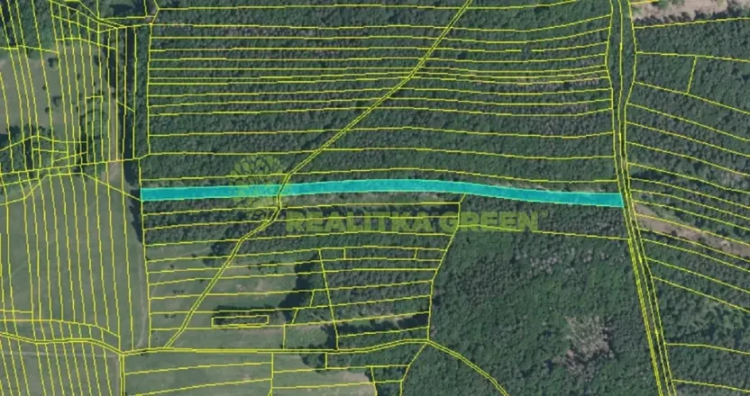 Prodej lesa, Hřivínův Újezd, 11067 m2