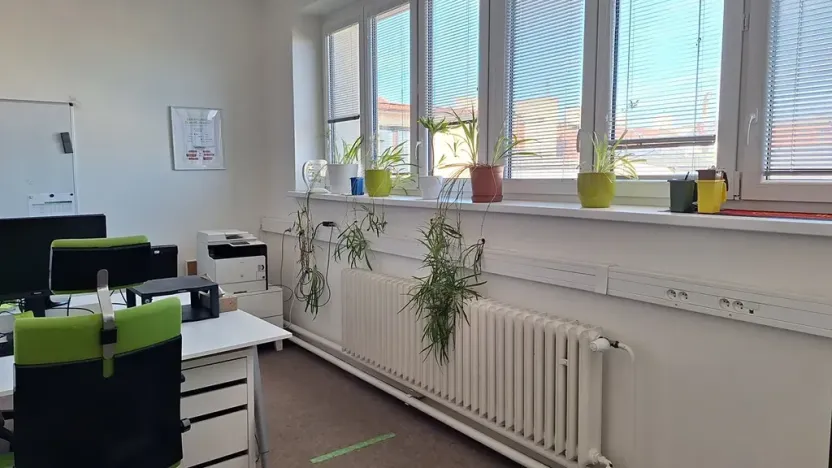 Pronájem kanceláře, Praha - Nové Město, Bolzanova, 36 m2