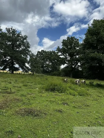 Prodej pozemku pro bydlení, Čížkov, 3589 m2