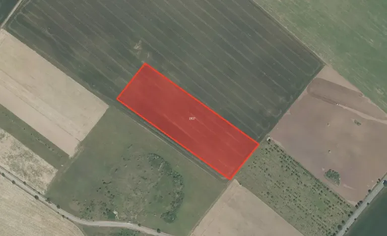 Prodej podílu pole, Znojmo, 25300 m2