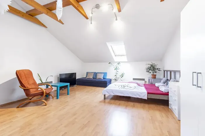 Pronájem bytu 1+1, Brno, Spolková, 41 m2