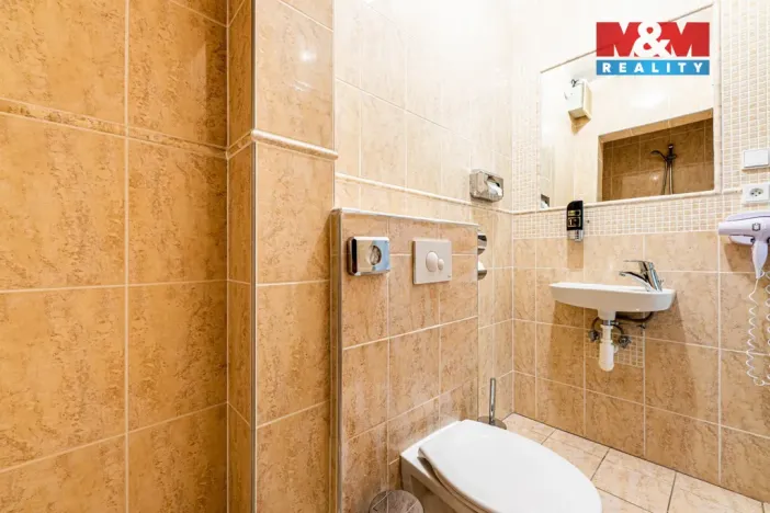 Pronájem bytu 2+kk, Plzeň - Vnitřní Město, Zbrojnická, 80 m2