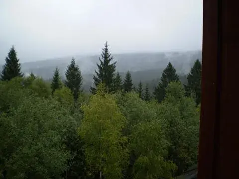 Prodej bytu 2+kk, Železná Ruda, 46 m2