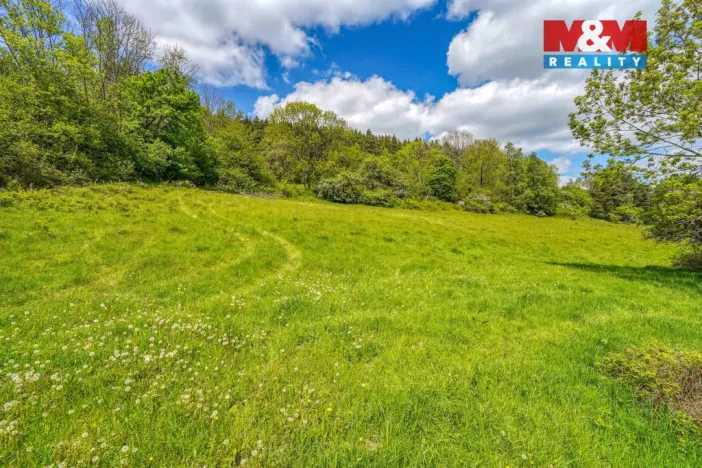 Prodej zahrady, Sušice - Nuzerov, 7751 m2