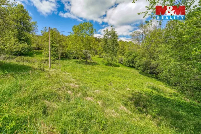 Prodej zahrady, Sušice - Nuzerov, 7751 m2