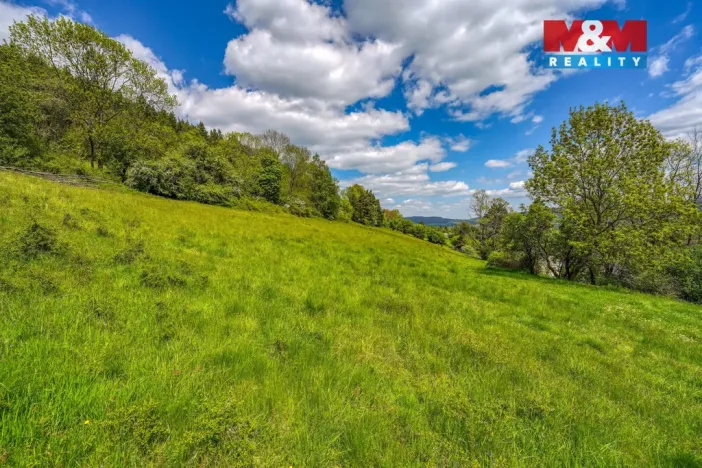 Prodej zahrady, Sušice - Nuzerov, 7751 m2