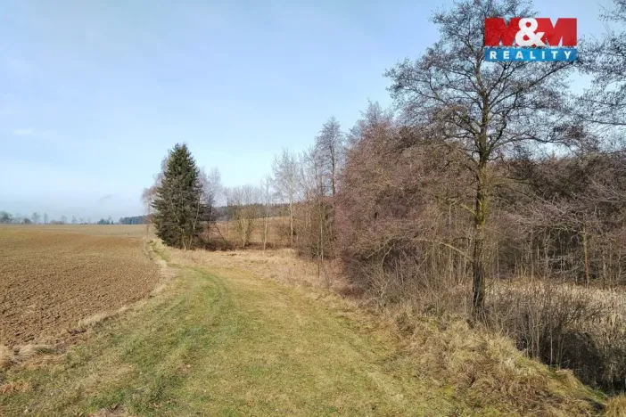 Prodej rybníku, Velká Losenice, 13639 m2