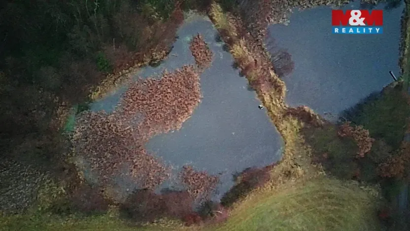 Prodej rybníku, Velká Losenice, 13639 m2