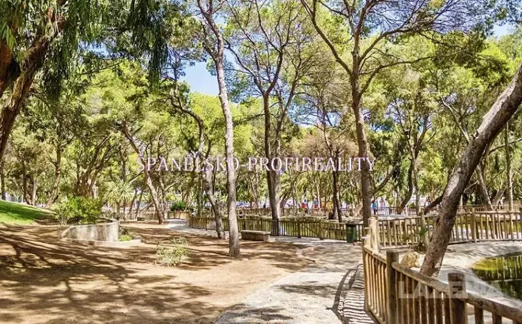 Prodej bytu 2+kk, Guardamar del Segura, Španělsko, 50 m2