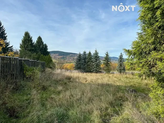 Prodej pozemku pro bydlení, Jeřmanice, Javornická, 10228 m2