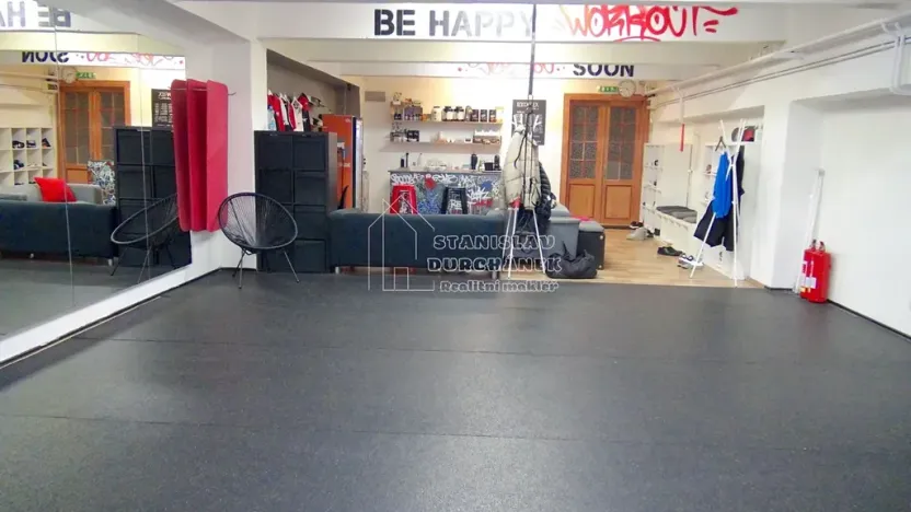 Pronájem komerční nemovitosti, Praha - Karlín, Pernerova, 358 m2