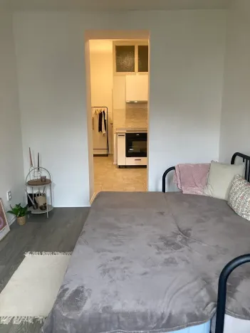 Pronájem bytu 1+1, Litoměřice, Šaldova, 37 m2